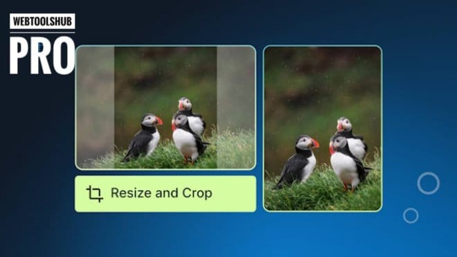 How to Resize Images for Websites Without Making Them Look Blurry